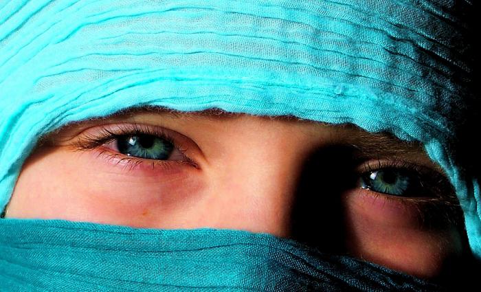 lit pellentesque viverra. Ut eleifend ultrices lectu